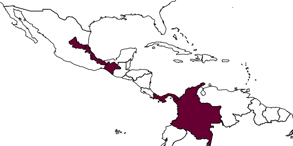 map of Mischocyttarus waunan     Silveira, 2013